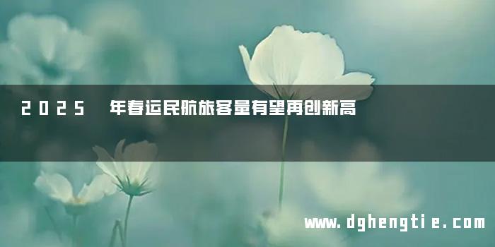 2025 年春运民航旅客量有望再创新高